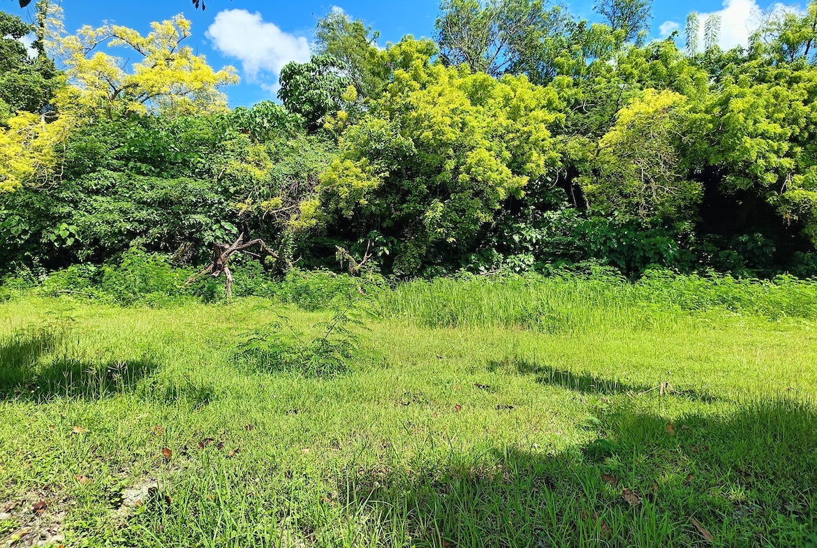 Cebu lot for Sale inside High end Subdivision