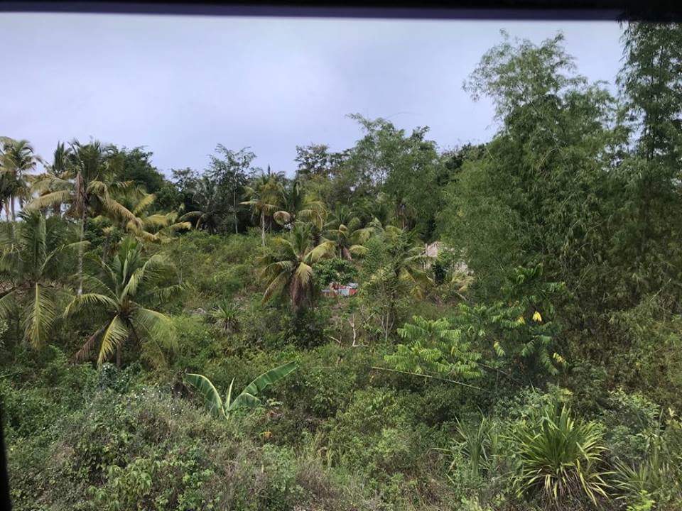 Residential Lot for sale inside Countryside Village Lipata Minglanilla