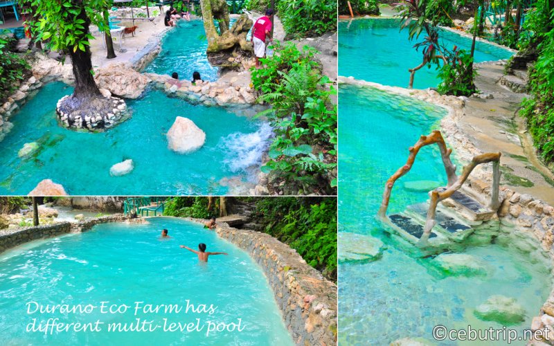 Spending a day in Durano Eco Farm and Spring Resort CebuTrip