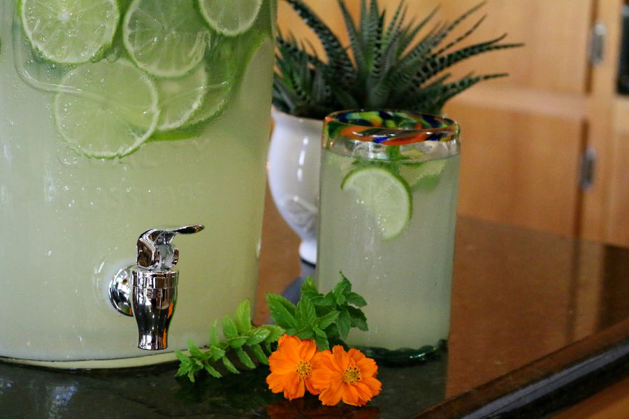 Fresh Homemade Lemon Limeade