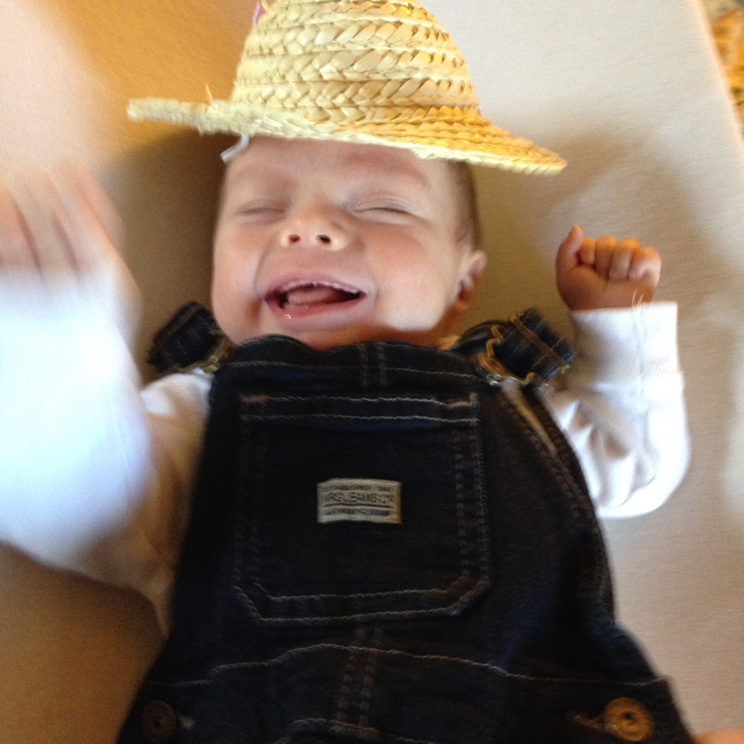 10 DIY Baby Costumes under 10 dollars! Cecelia's Spot