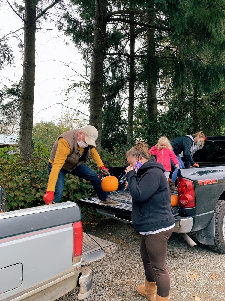 Bringing the Pumpkin Patch to School Courtenay Elementary Community