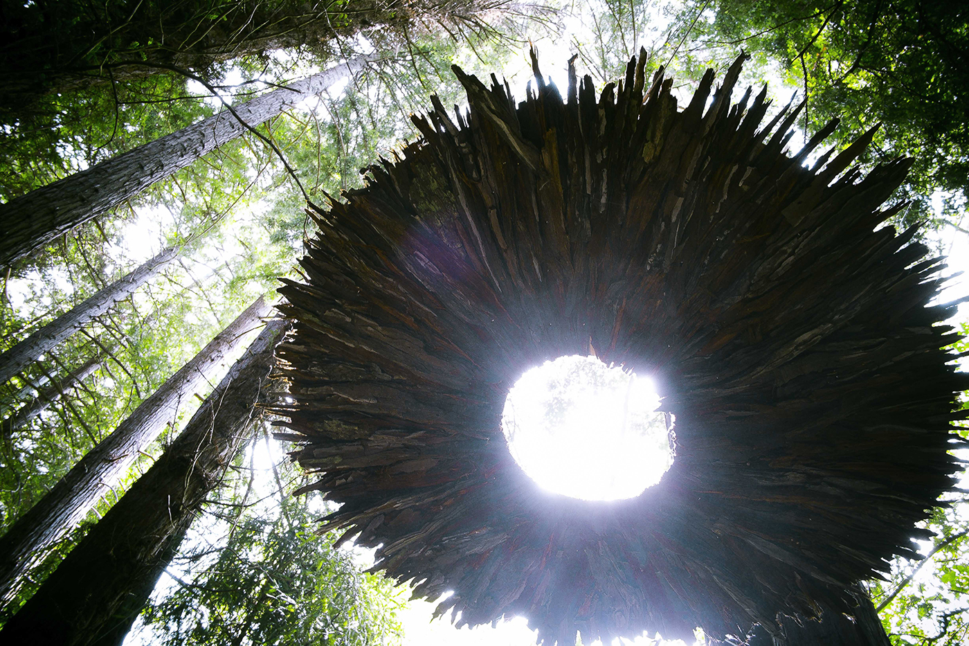 Berkeley City College Summer Session 2023