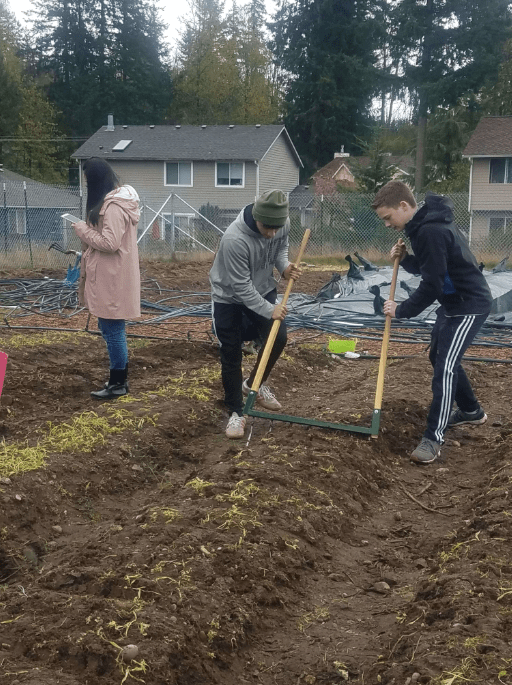City Soil 2019 Cedar Grove Organic Compost
