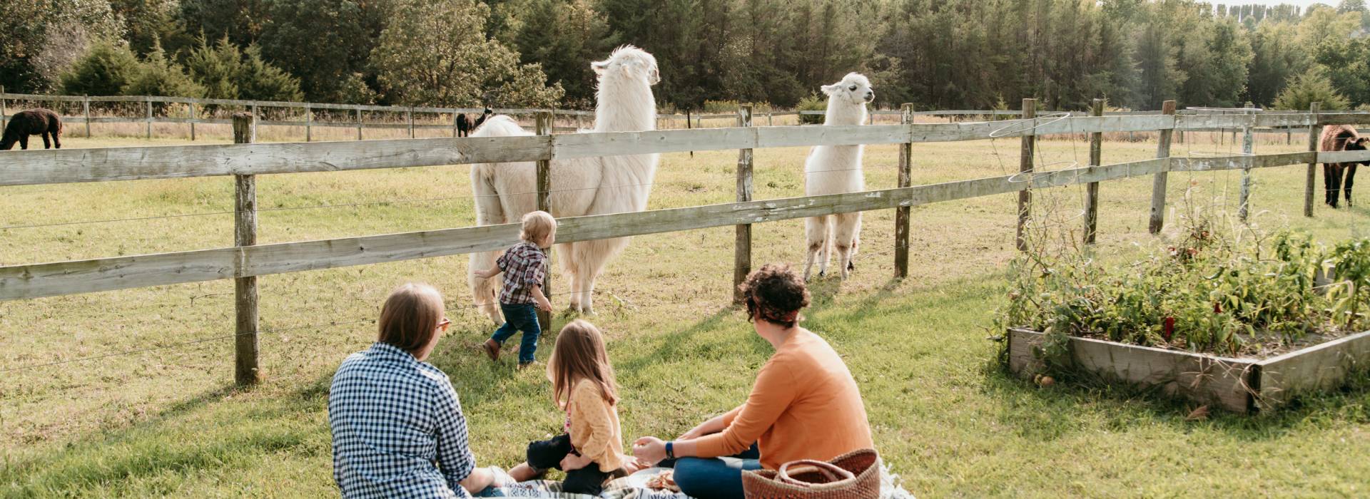 Cedar Rapids, IA Blogs & News Cedar Rapids Tourism Blog