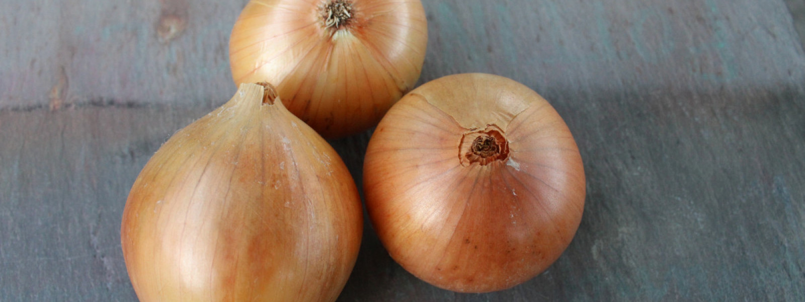 Onions and Garlic Storage Tips Vermont Organic Farm Cedar Circle