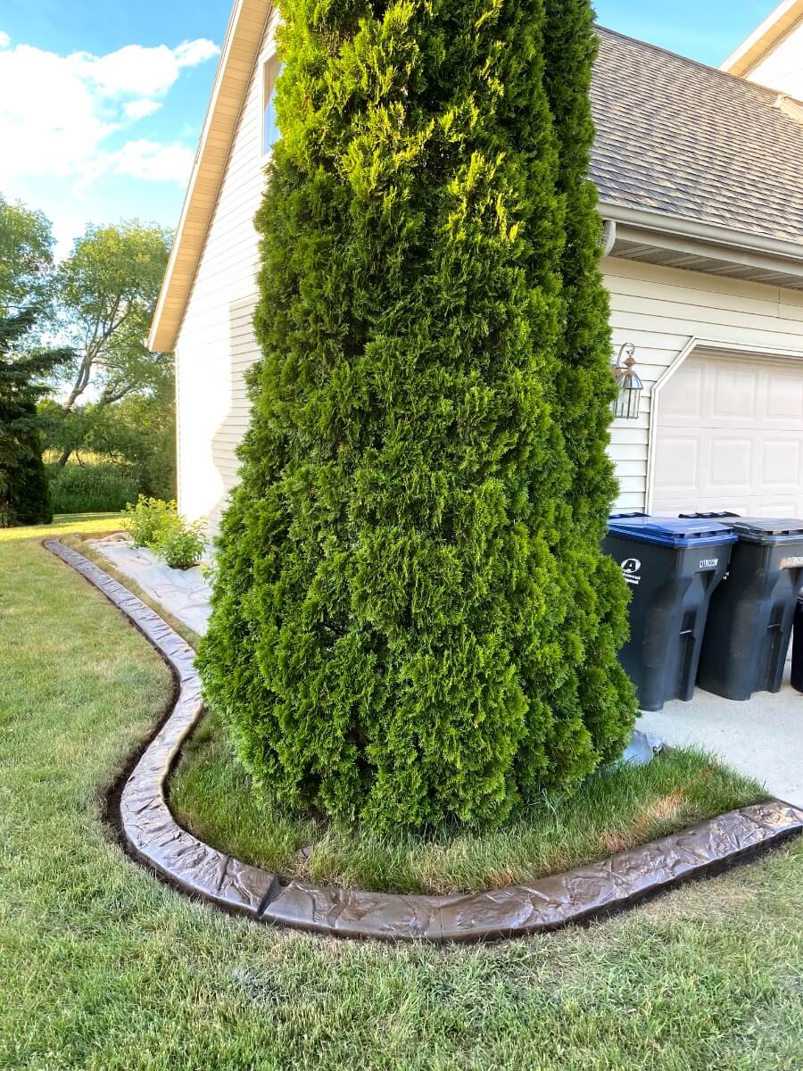 Birch Tree Avenue Cedar Creek Curbing