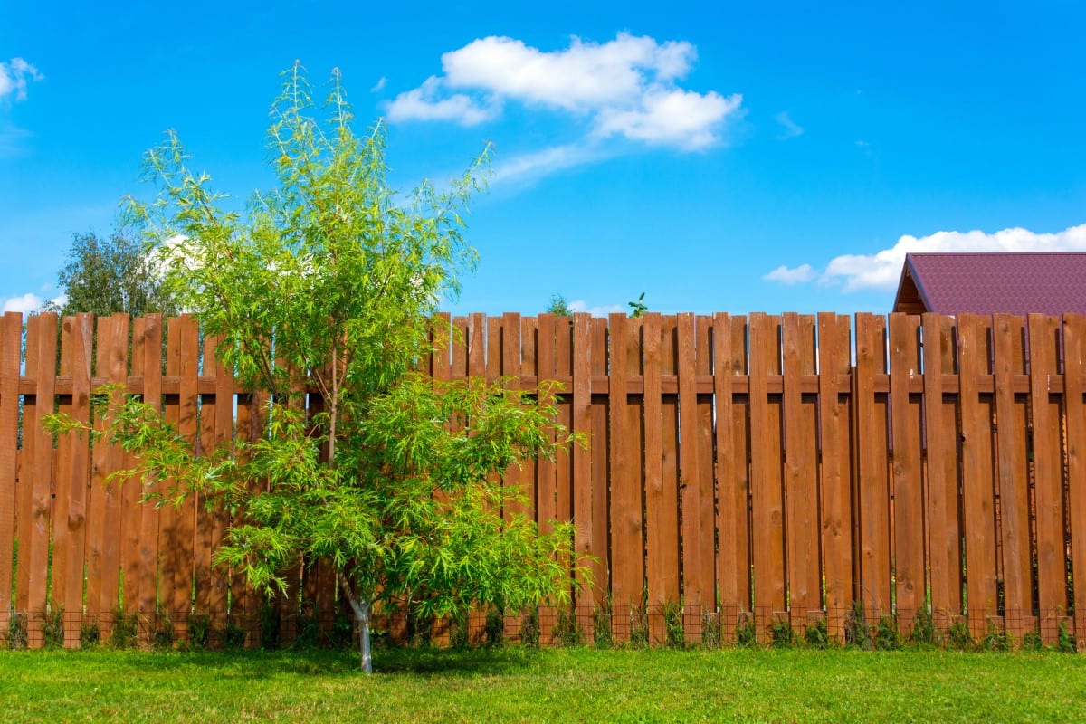 Boulderites Love Western Red Cedar Fencing