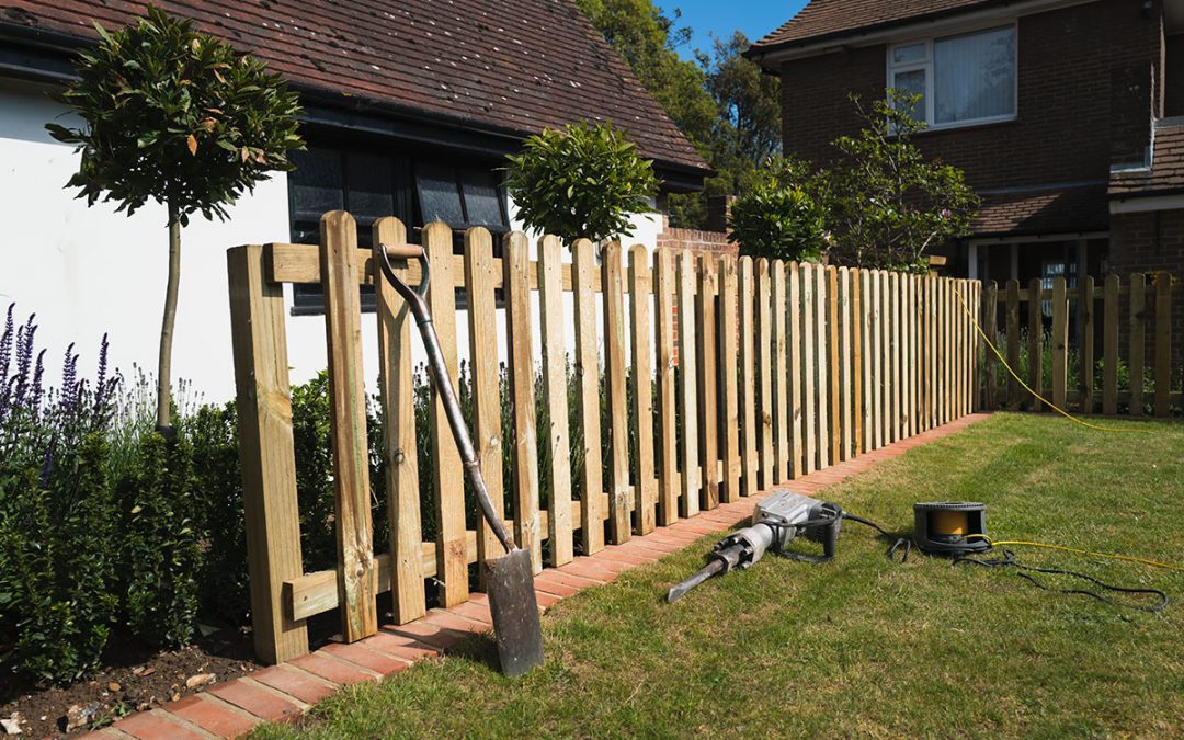 Why is cedar wood popular as construction material?