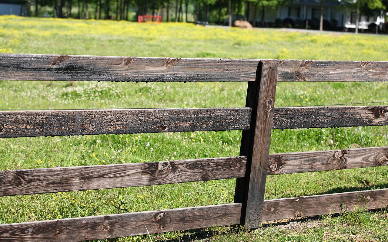 What factors can cause fences to rot?