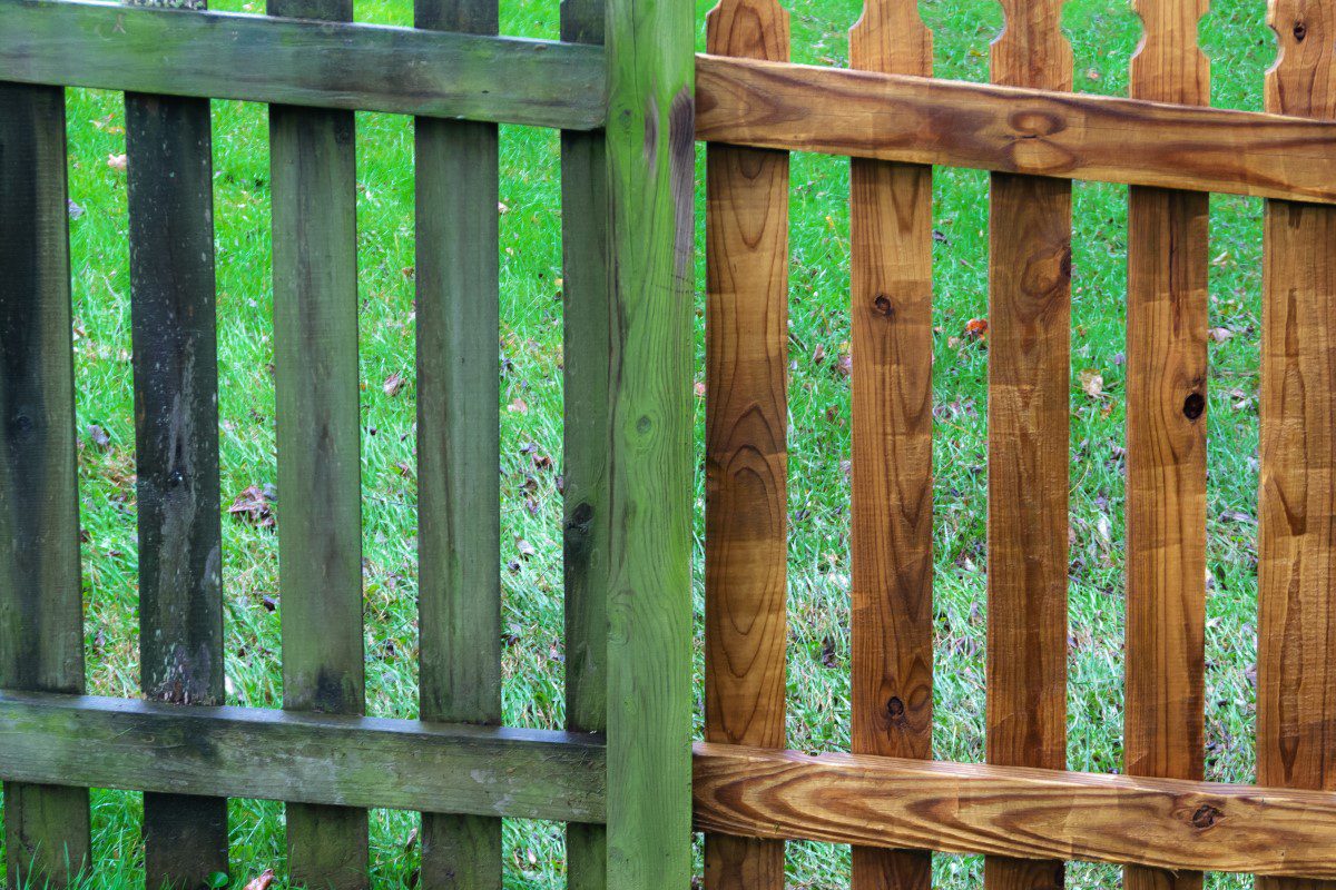 Why Is My Fence Turning Green?