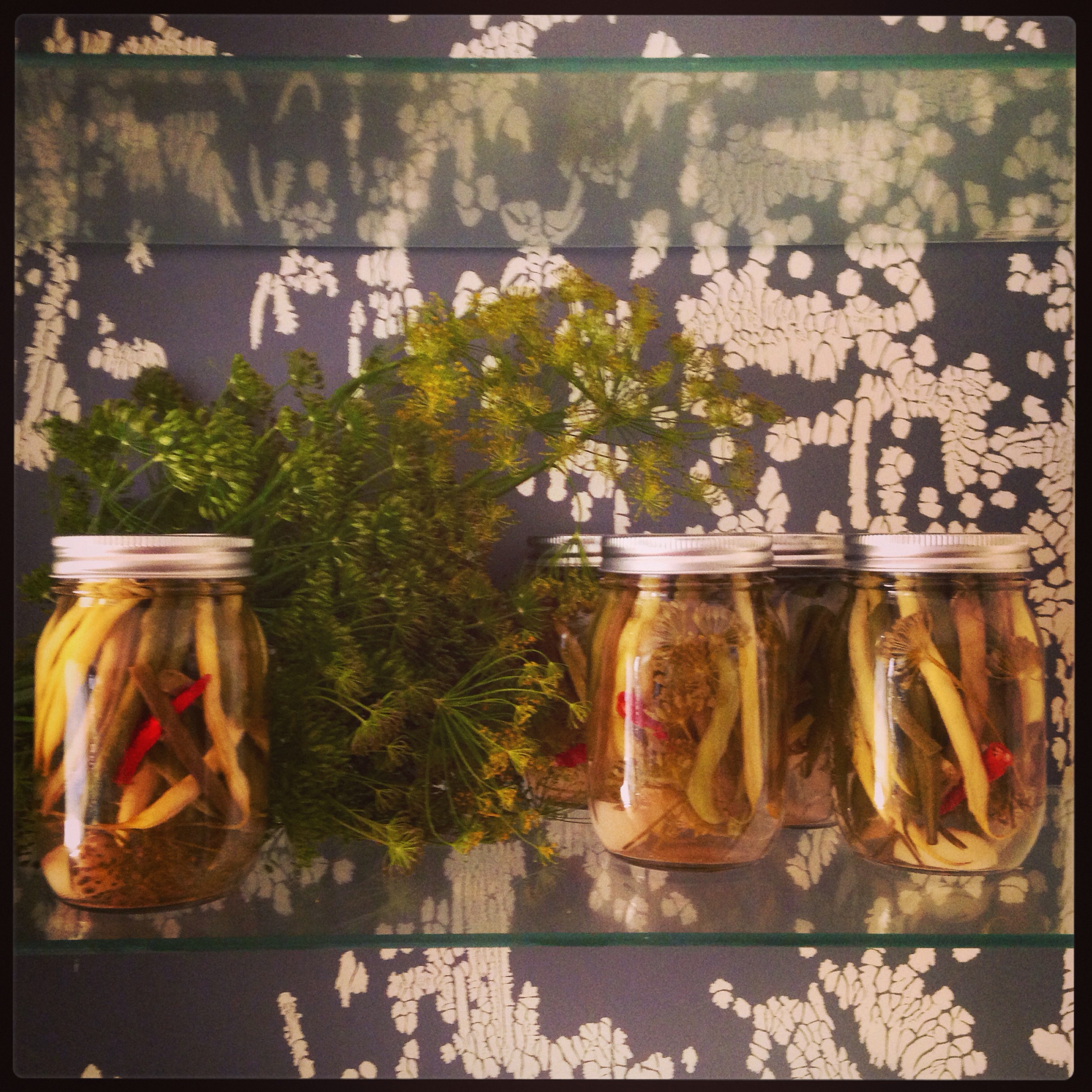 image Cedar Grove Organic Garden