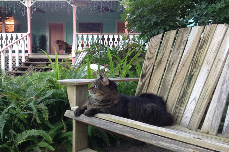 Cedar Key Bed & Breakfast