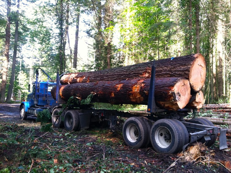 Lewis County Logging Cedarland Forest Resources