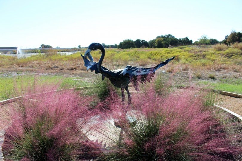 Cedar Park Sculpture Garden Cedar Park Texas Living