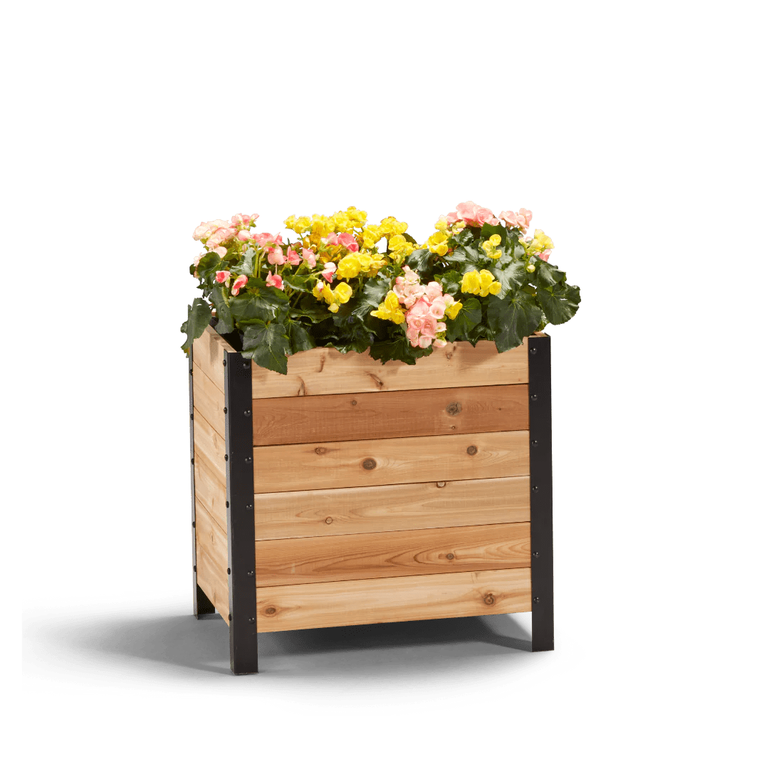 18" x 24" Planter Box 24" Tall Cedar Planters