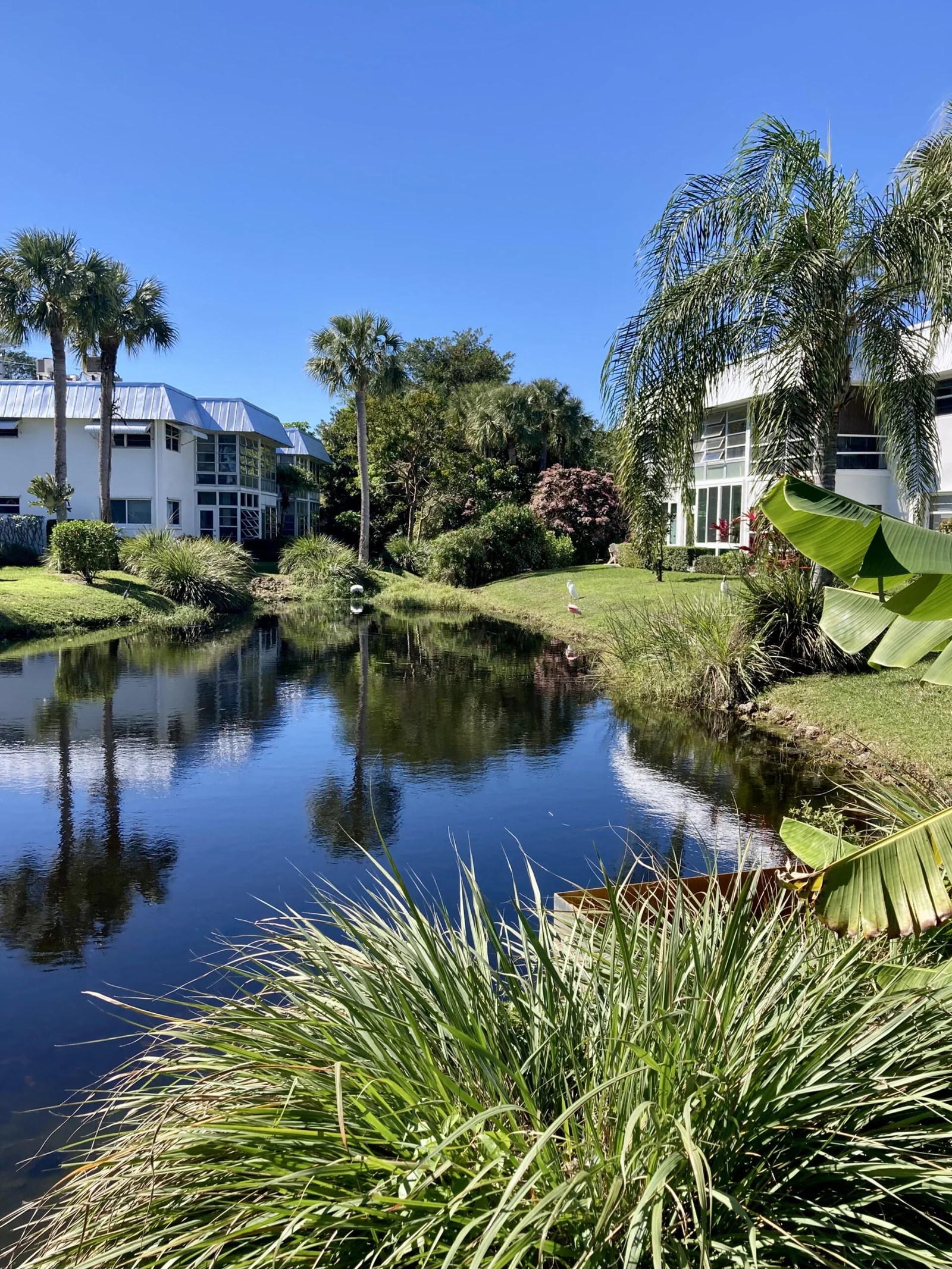 Cedar Pointe Village 6