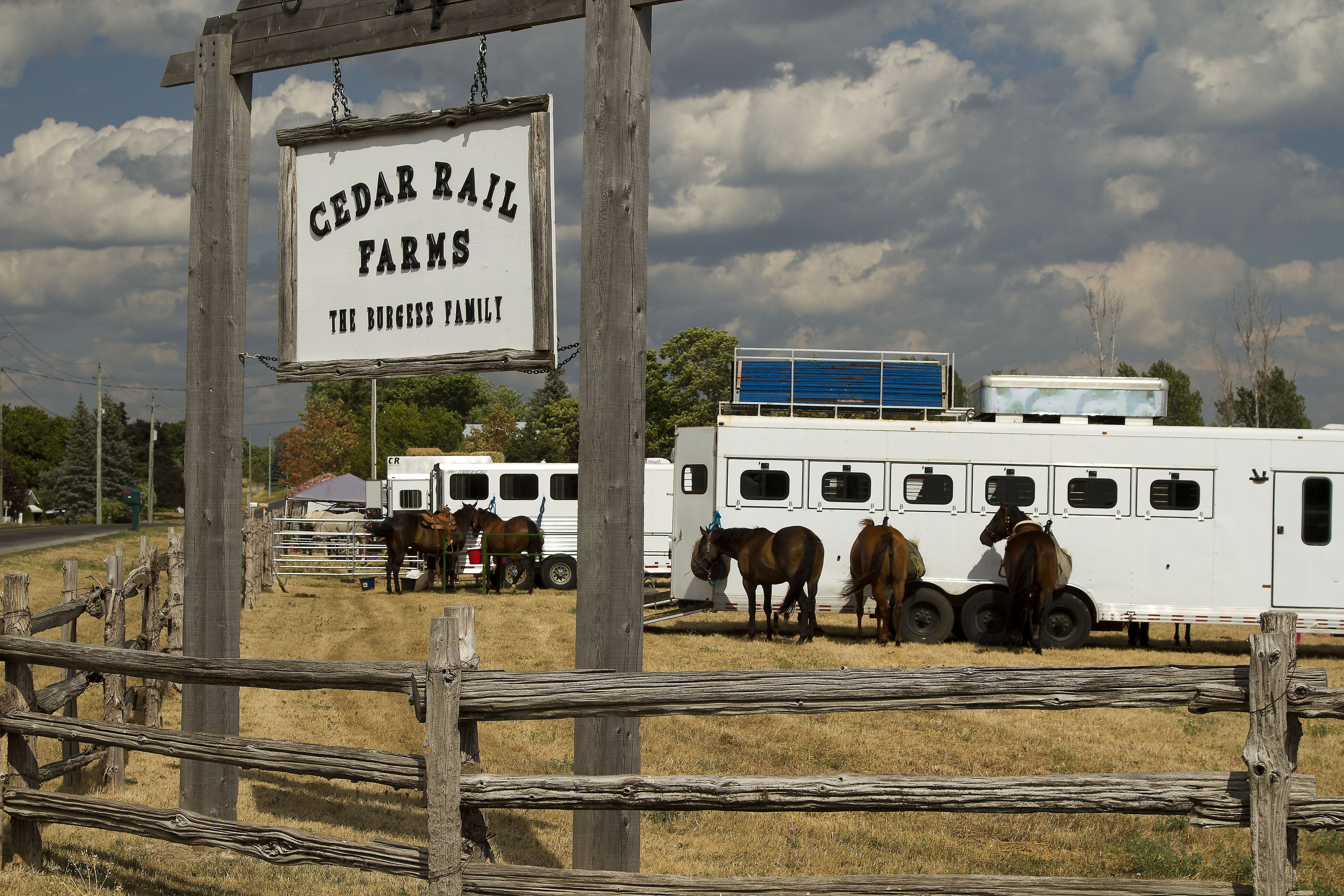 Shows Cedar Rail Farms