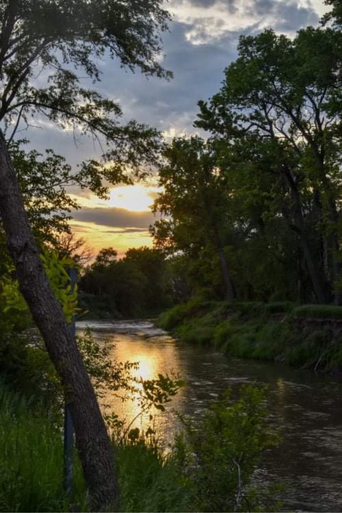 Village of Cedar Rapids, Nebraska