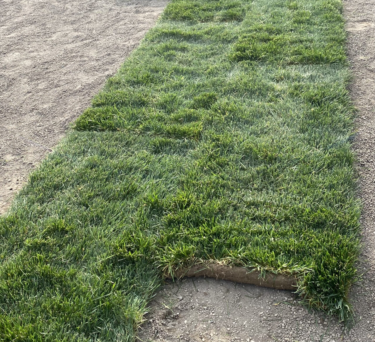 Best Sod In Utah Best Sod In Utah