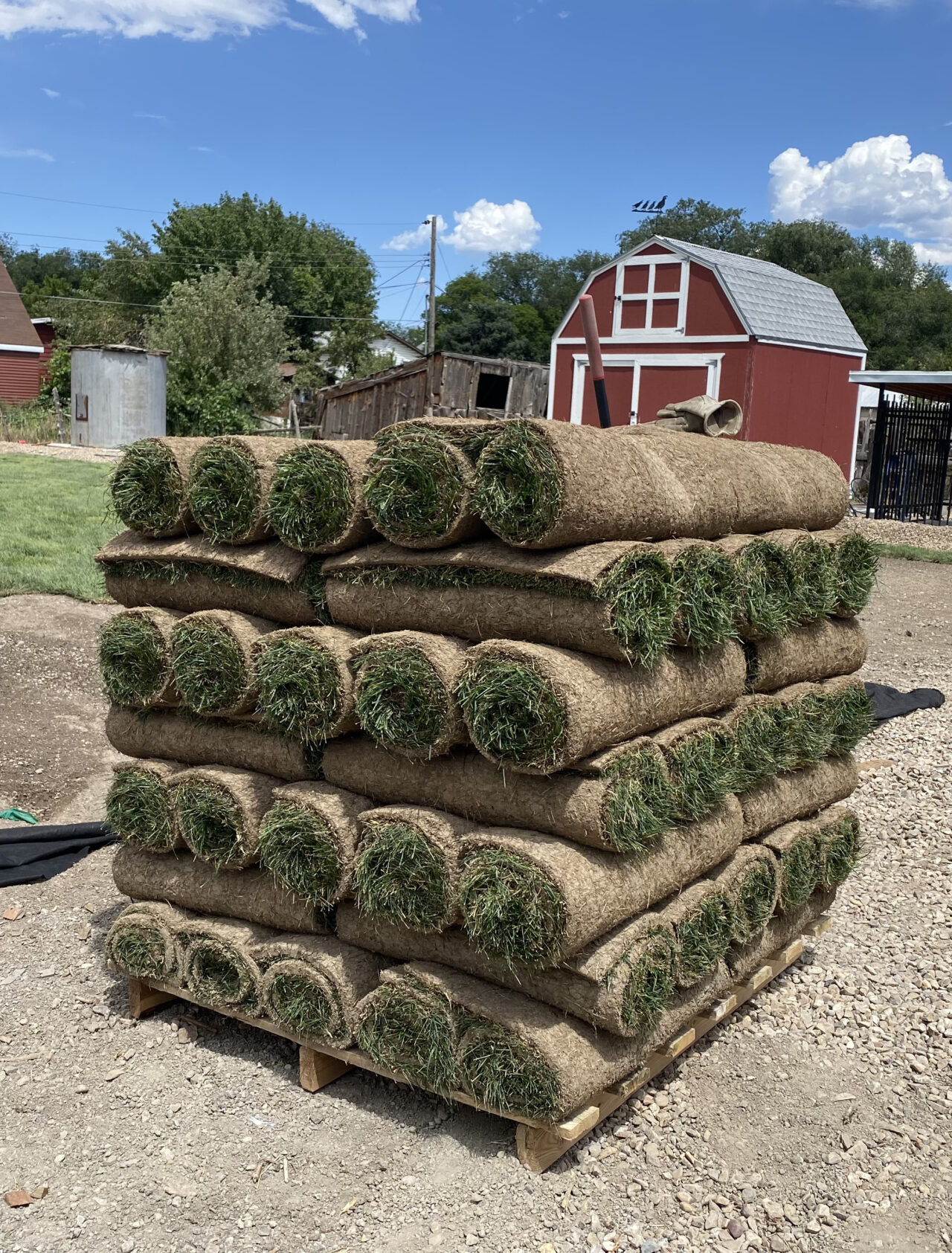 Best Sod In Utah Best Sod In Utah