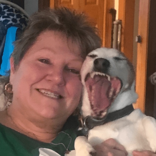 New Lenox, IL 60451 Veterinarians Cedar Way Veterinary Clinic