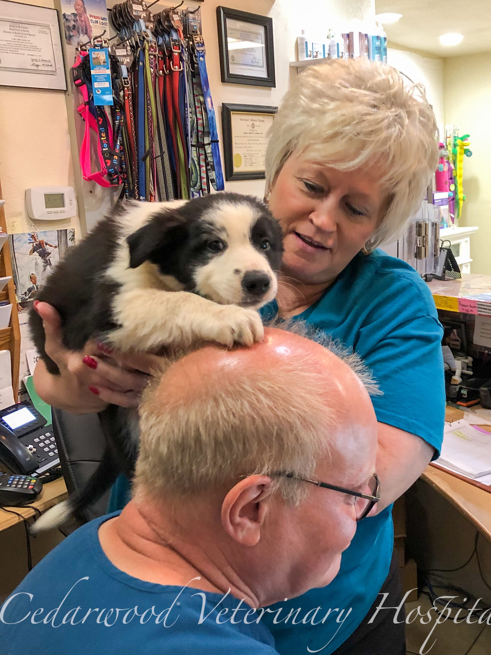 Take a Tour of our Newport, TN Veterinary Hospital!