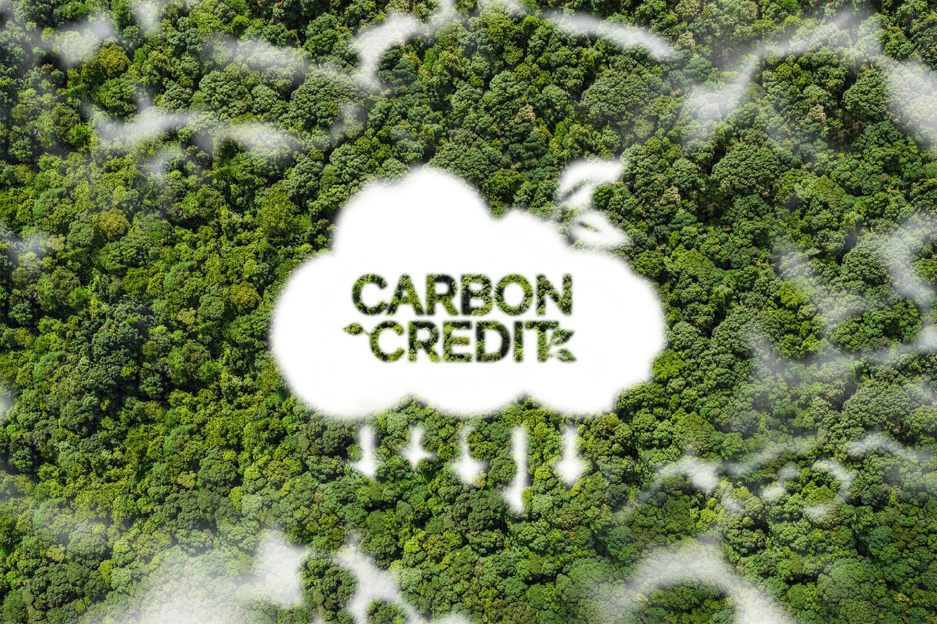 Explained Carbon credits cee.mit.edu