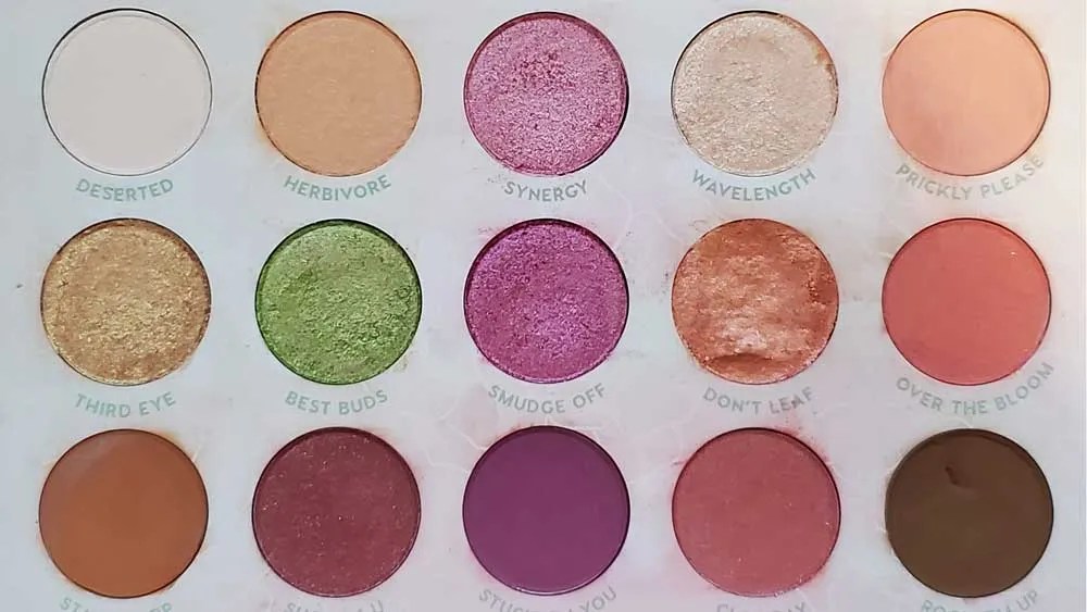 Colourpop Garden Variety Palette Review CeeCee Chatter
