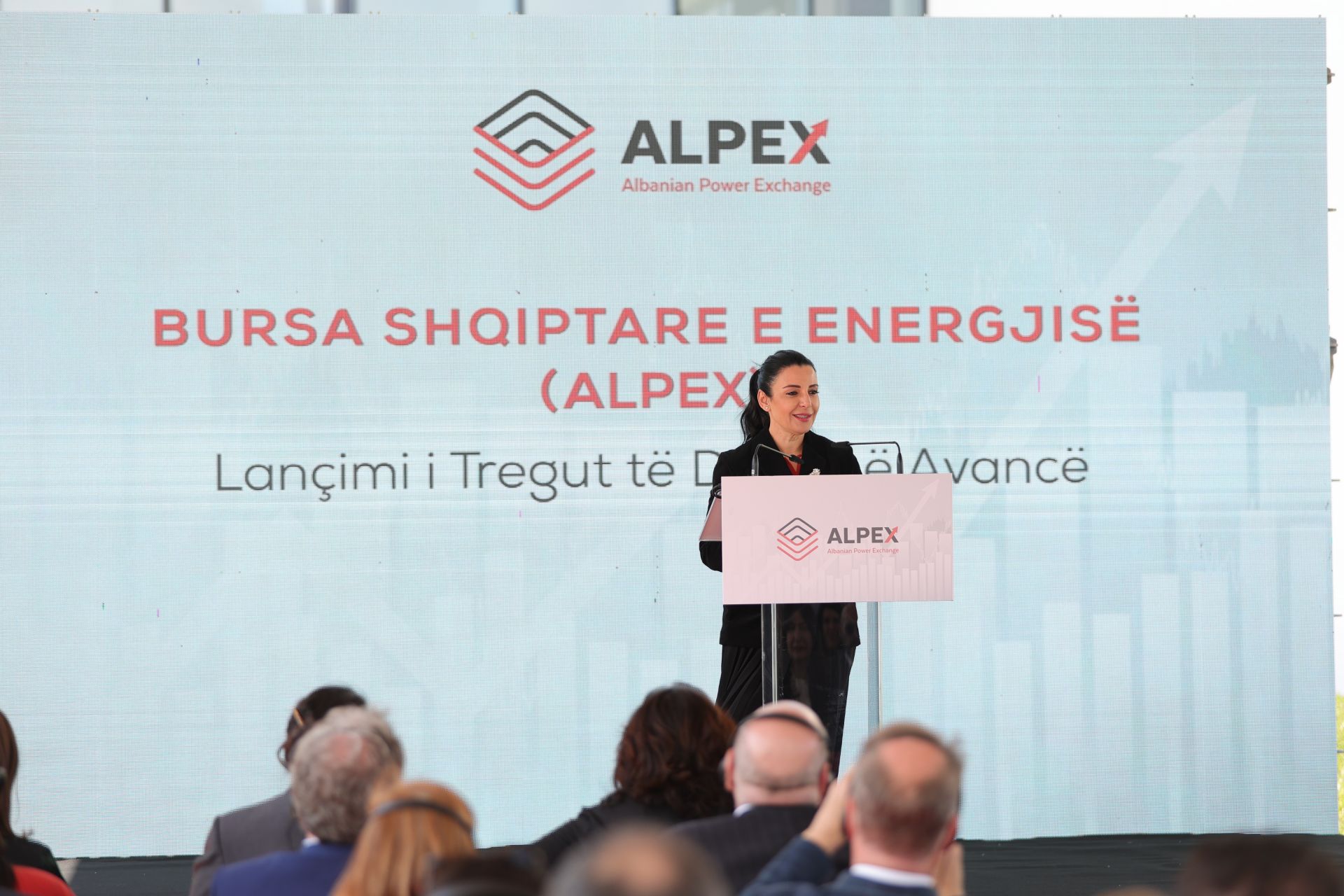 Albanian Power Exchange holds first dayahead auction CEENERGYNEWS