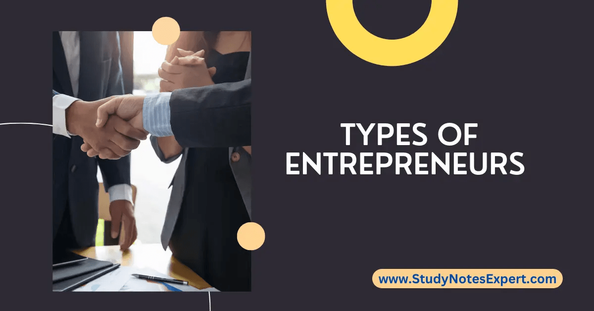 Describe the 4 types of entrepreneurship with Pros and Cons CEF Insights