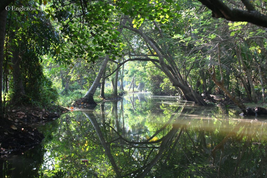 Biotopes of India The Western Ghats, Mountain Streams to Mangrove