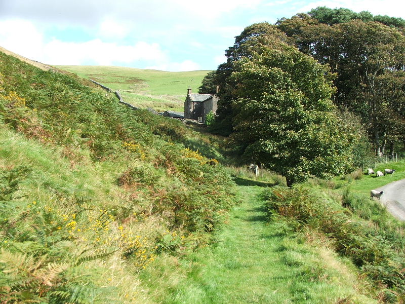 15th September 2007 Sale Fell from Wythop Mill