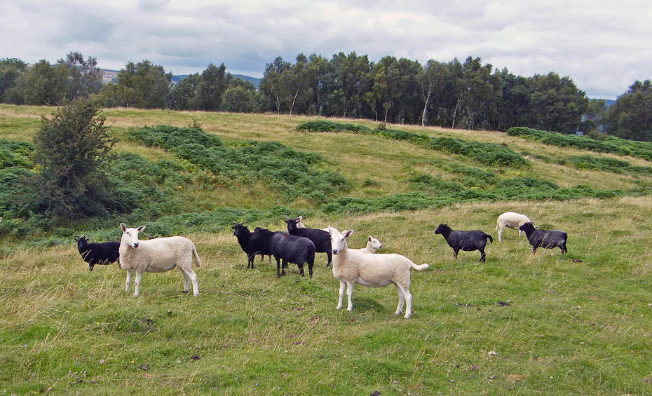 9th August 2009 Witherslack walk
