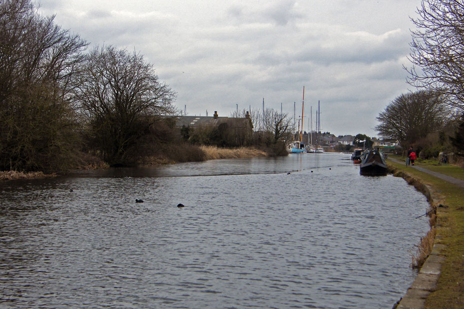 Stay afloat in a way crossword velotews