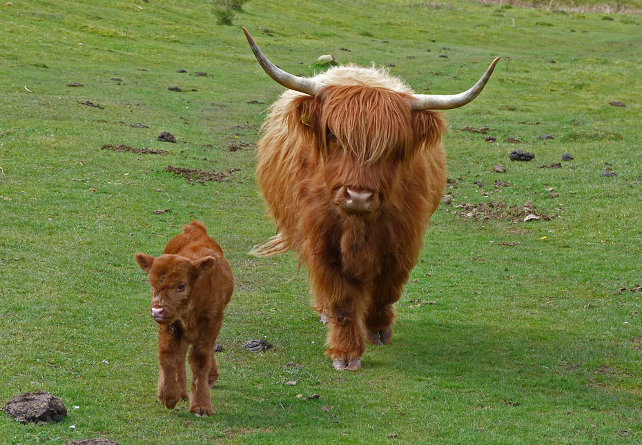 27th April 2012 Walk No.671