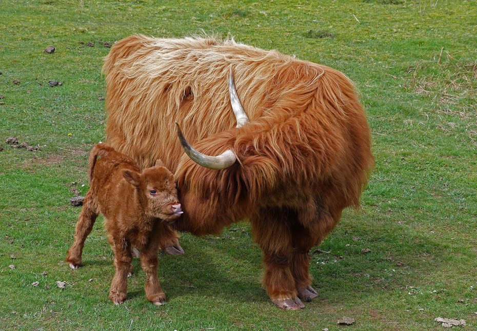 27th April 2012 Walk No.671