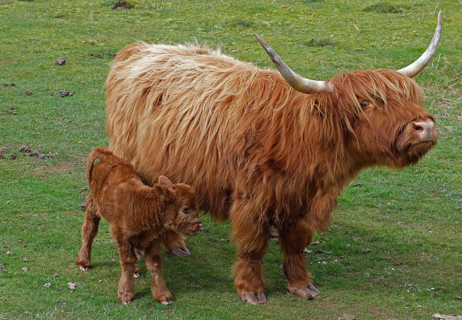 27th April 2012 Walk No.671