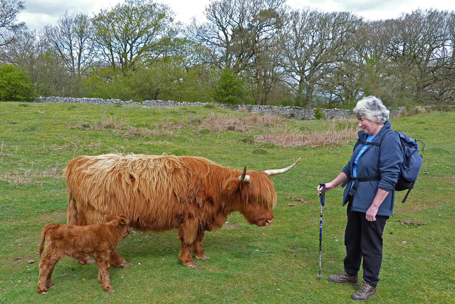 27th April 2012 Walk No.671