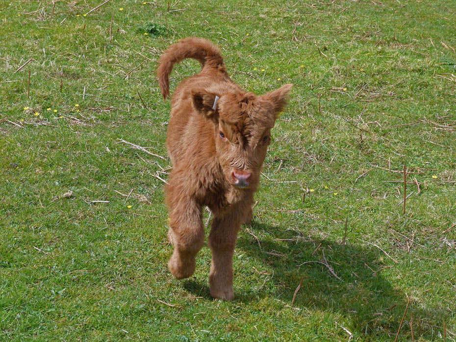 27th April 2012 Walk No.671