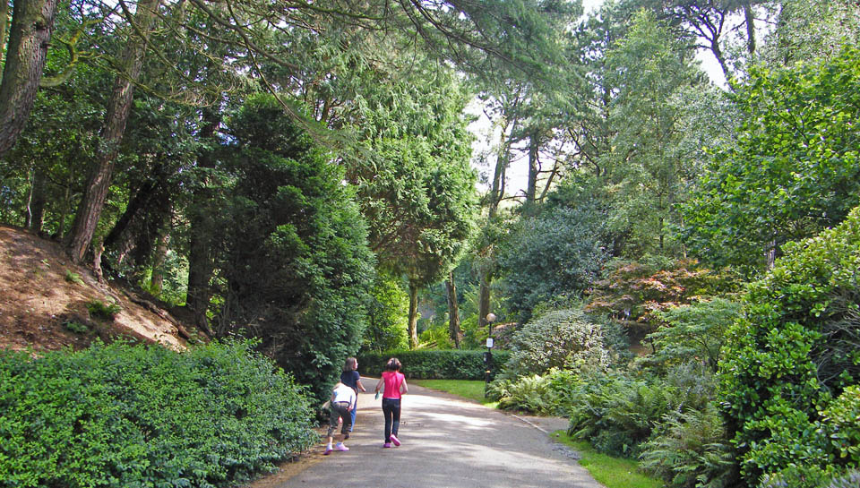 7th August 2008 Williamson Park