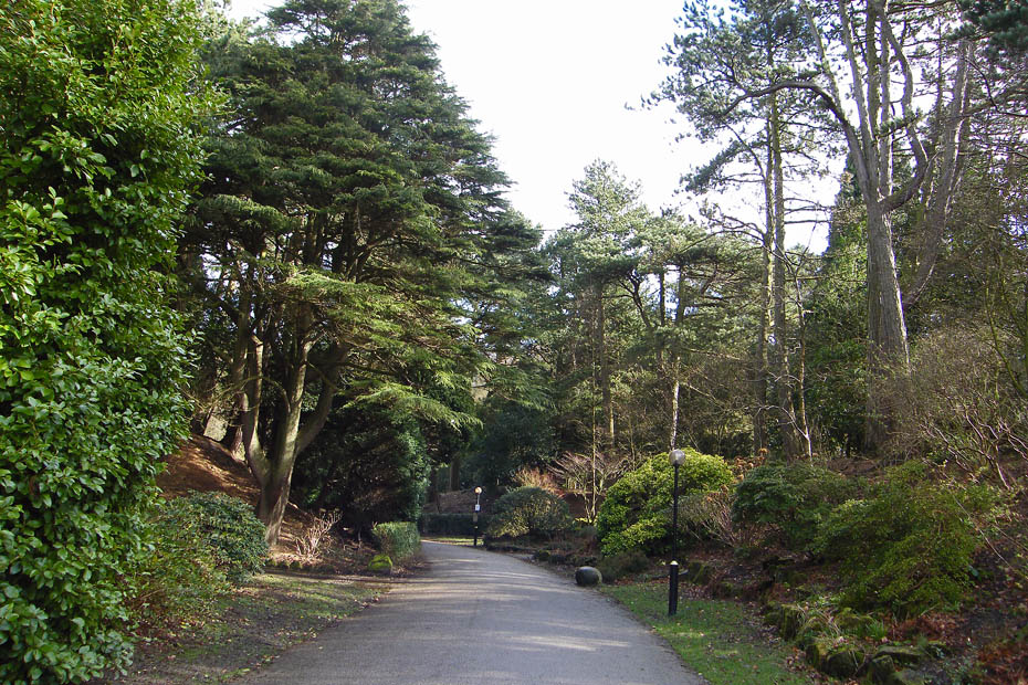 4th March 2009 Williamson Park