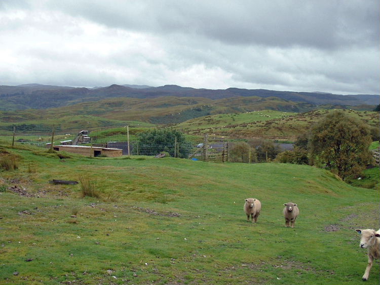 17th September 2003 Oban rare breeds farm & Oban