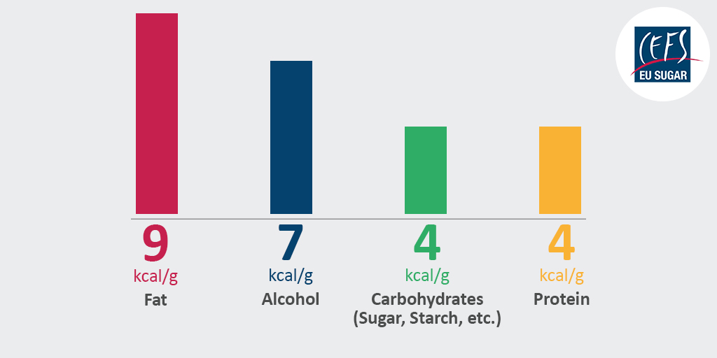 Frequently Asked Questions CEFS