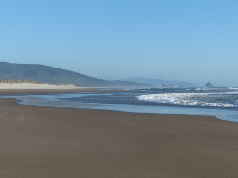 Oregon Sand ORV Adventure Sand Lake Graham Family Farm