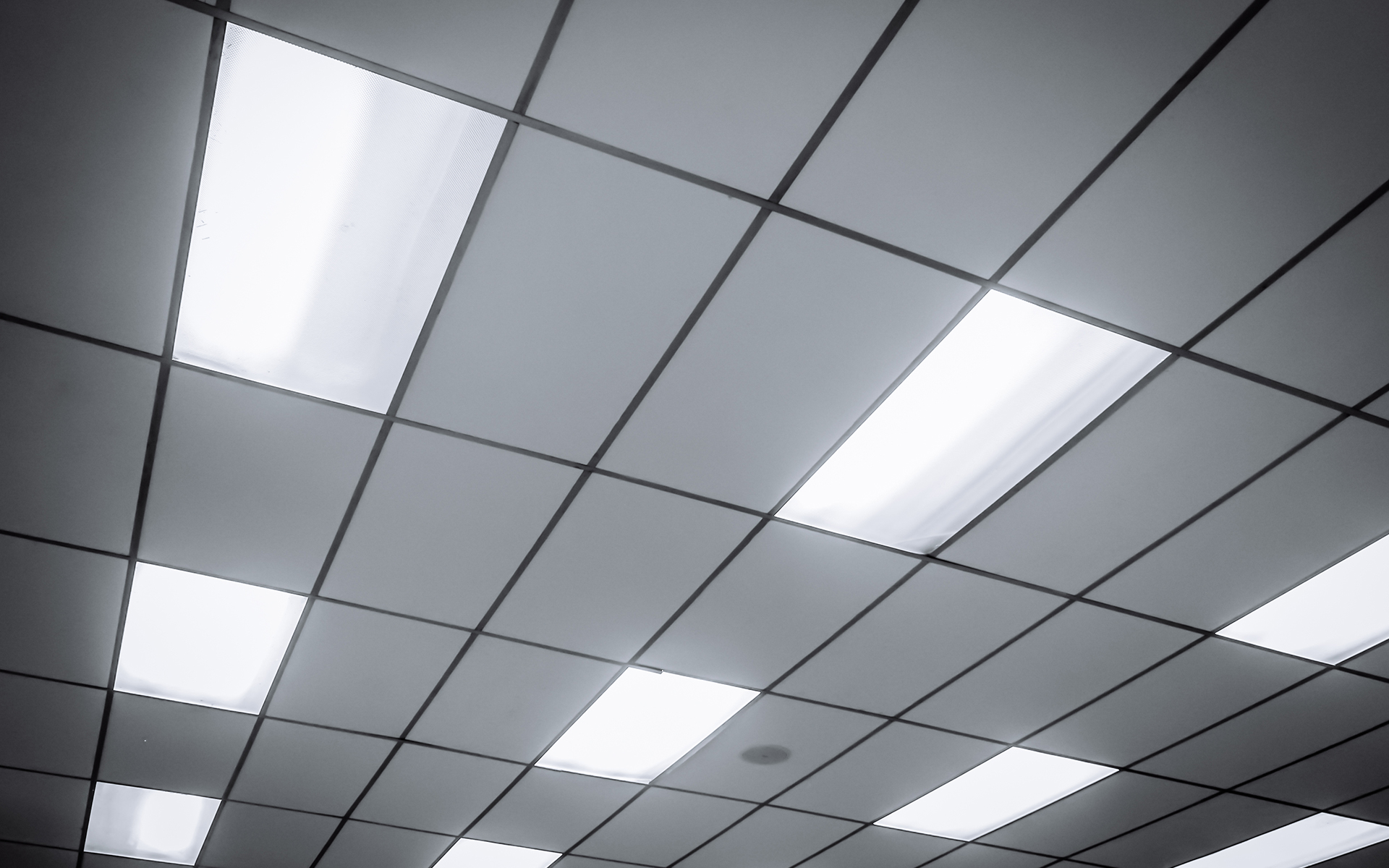 Ceiling & Allied Suspended Ceilings