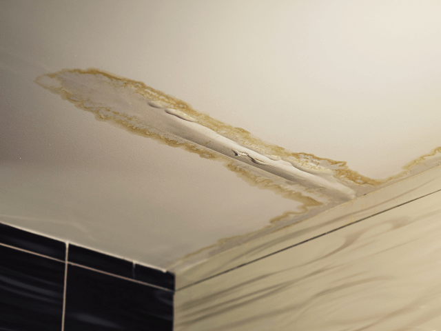 Ceiling Removal, Repair & Painting Services Airdrie, AB