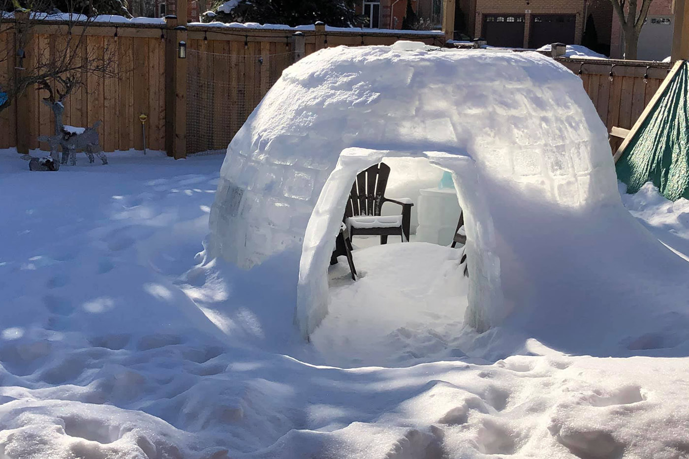 Hamilton family builds an impressive ice igloo in their backyard CEKAN