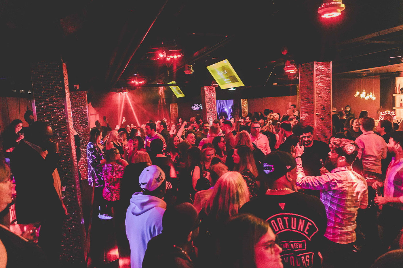 Hamilton's Zen Lounge is hosting a second Liquid Kitty Reunion Party