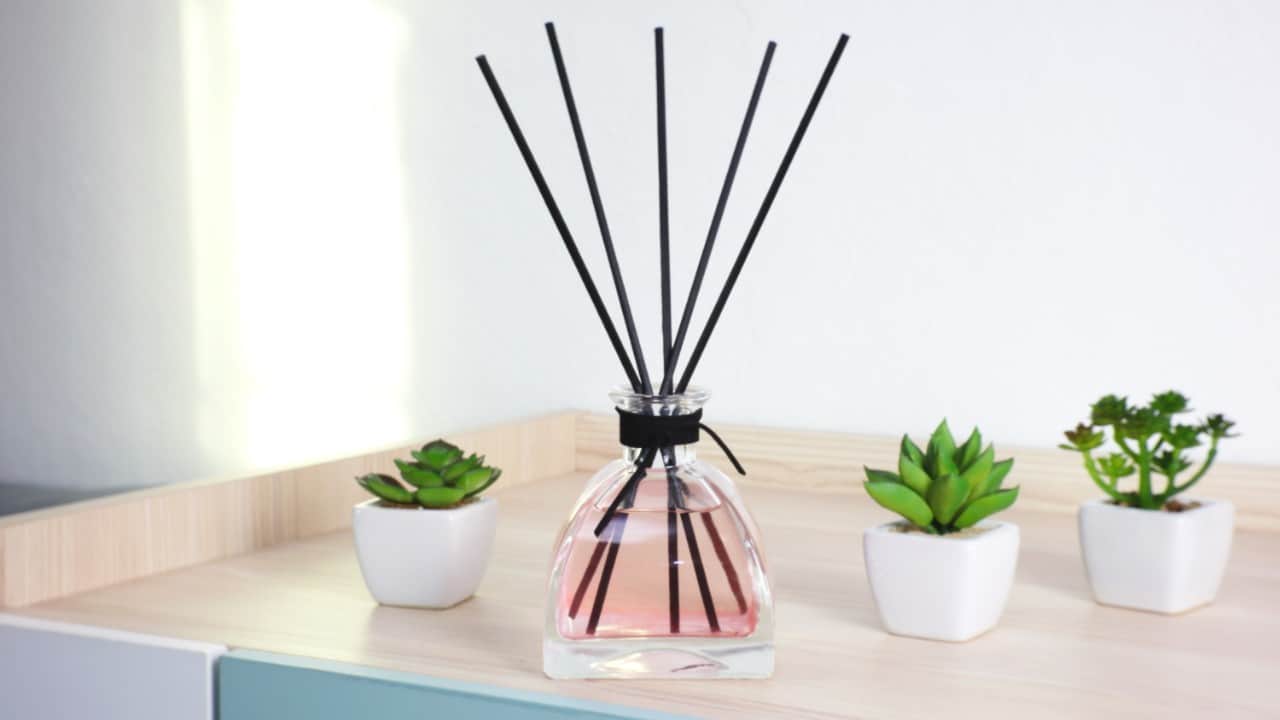 Review 10 Rekomendasi Reed Diffuser Terbaik (Terbaru 2021) CekList.ID